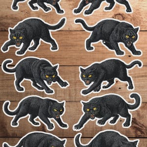 Scary Black Cat Vinyl Die Cut Sticker Set | Funny Sticker | Laptop Sticker | Water Bottle Sticker | Notebook Sticker