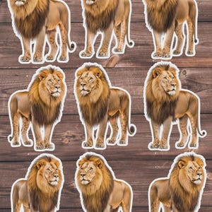 Majestic Lion Vinyl Die Cut Sticker Set Sticker Laptop Sticker Water Bottle Sticker Notebook Sticker Scrapbooking