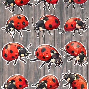 May include: A collection of red ladybug stickers with black spots and black heads. The stickers are arranged on a wooden background, showcasing the ladybugs in various poses.