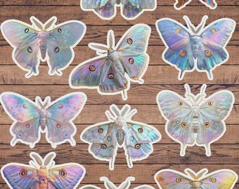 Holographic Moth Die Cut Sticker Set | Funny Sticker | Laptop Sticker | Water Bottle Sticker | Notebook Sticker