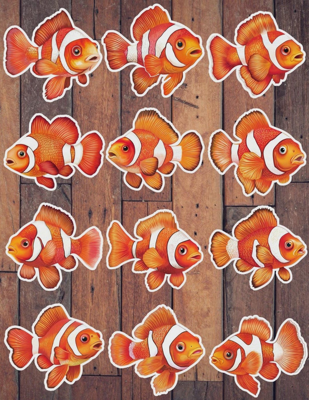 Clown Fish Die Cut Vinyl Sticker Set – for Notebook, Laptop, Water ...