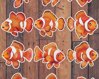 Clown Fish Die Cut Vinyl Sticker Set – For Notebook, Laptop, Water Bottle & Scrapbooking