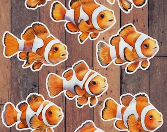 Clownfish Die Cut Vinyl Sticker Set – For Notebook, Laptop, Water Bottle & Scrapbooking
