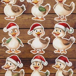 Christmas Duck Die Cut Vinyl Sticker Set | Funny Sticker | Laptop Sticker | Water Bottle Sticker | Notebook Sticker