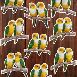 Parrot Friends Die Cut Vinyl Sticker Set Funny Sticker Laptop Sticker Water Bottle Sticker Notebook Sticker Scrapbooking