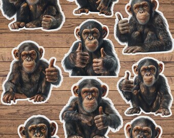 Cool Monkeys Die Cut Sticker Set | Funny Sticker | Laptop Sticker | Water Bottle Sticker | Notebook Sticker