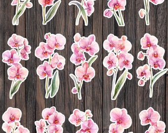 Orchid Flower Die Cut Vinyl Sticker Set – For Notebook, Laptop, Water Bottle & Scrapbooking