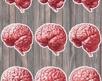 Brains Die Cut Vinyl Sticker Set – For Notebook, Laptop, Water Bottle & Scrapbooking