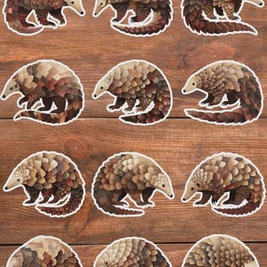 Pangolin Vinyl Die Cut Sticker Set Sticker Laptop Sticker Water Bottle Sticker Notebook Sticker Scrapbooking
