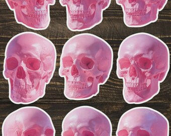 Pink Skull Die Cut Vinyl Sticker Set – For Notebook, Laptop, Water Bottle & Scrapbooking