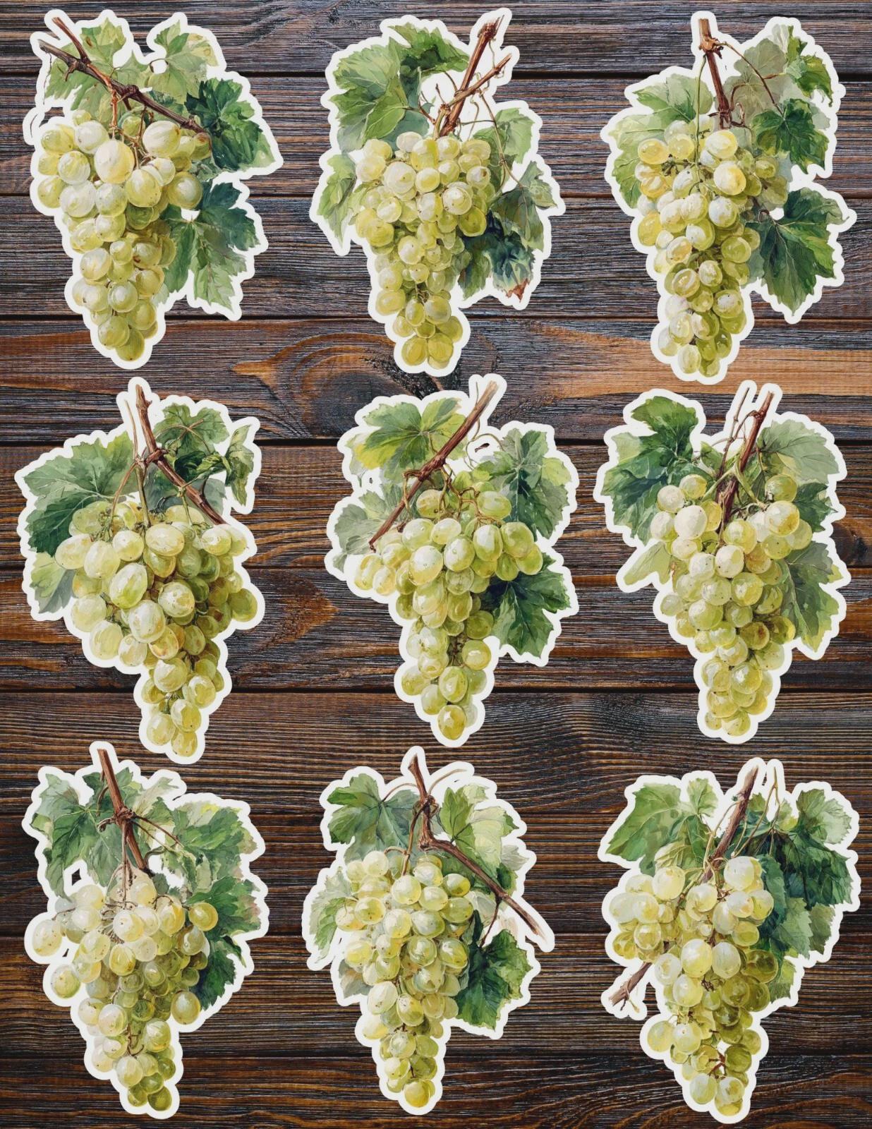 Green Grapes Die Cut Sticker Set | Funny Sticker | Laptop Sticker ...
