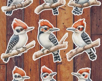 Woodpecker Bird Vinyl Die Cut Sticker Set | Funny Sticker | Laptop Sticker | Water Bottle Sticker | Notebook Sticker