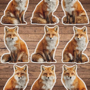 Sitting Fox Vinyl Die Cut Sticker Set | Funny Sticker | Laptop Sticker | Water Bottle Sticker | Notebook Sticker