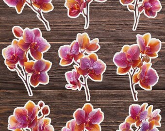 Orchids Die Cut Vinyl Sticker Set – For Notebook, Laptop, Water Bottle & Scrapbooking
