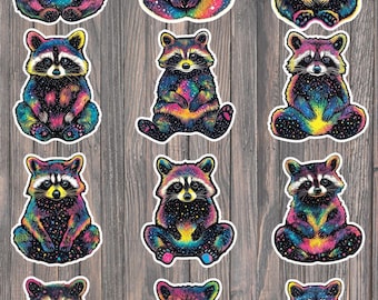 Galaxy Raccoon Vinyl Die Cut Sticker Set | Funny Sticker | Laptop Sticker | Water Bottle Sticker | Notebook Sticker