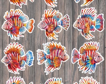 Colorful Lion Fish Die Cut Vinyl Sticker Set – For Notebook, Laptop, Water Bottle & Scrapbooking