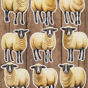 Sheep Vinyl Die Cut Sticker Set | Funny Sticker | Laptop Sticker | Water Bottle Sticker | Notebook Sticker