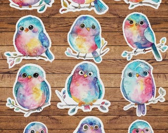 Colorful Bird Die Cut Vinyl Sticker Set – For Notebook, Laptop, Water Bottle & Scrapbooking