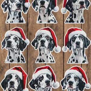 Santa Dalmation Dog Vinyl Die Cut Sticker Set | Funny Sticker | Laptop Sticker | Water Bottle Sticker | Notebook Sticker