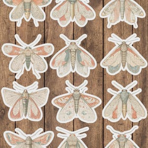 Boho Moth Sticker Set | Funny Sticker | Laptop Sticker | Water Bottle Sticker | Notebook Sticker