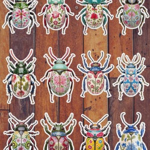 Decorative Beetles Die Cut Sticker Set | Funny Sticker | Laptop Sticker | Water Bottle Sticker | Notebook Sticker