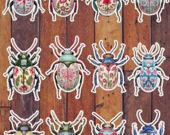 Decorative Beetles Die Cut Vinyl Sticker Set – For Notebook, Laptop, Water Bottle & Scrapbooking
