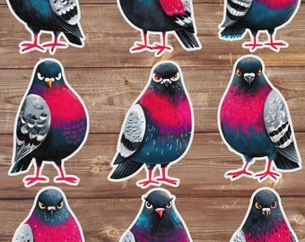 Angry Piegon Cut Sticker Set | Funny Sticker | Laptop Sticker | Water Bottle Sticker | Notebook Sticker