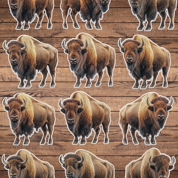 Bison Die Cut Sticker Set | Funny Sticker | Laptop Sticker | Water Bottle Sticker | Notebook Sticker