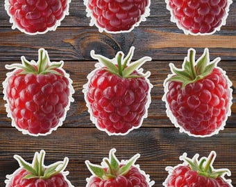 Red Raspberry Die Cut Vinyl Sticker Set – For Notebook, Laptop, Water Bottle & Scrapbooking