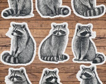 Raccoon Vinyl Die Cut Sticker Set | Funny Sticker | Laptop Sticker | Water Bottle Sticker | Notebook Sticker