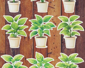 House Plant Vinyl Sticker Set | Greenery Decals, Waterproof Stickers