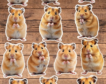 Cute Hamster Die Cut Vinyl Sticker Set – For Notebook, Laptop, Water Bottle & Scrapbooking