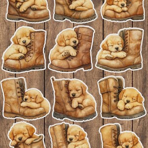 Puppy on a Shoe Vinyl Die Cut Sticker Set | Funny Sticker | Laptop Sticker | Water Bottle Sticker | Notebook Sticker