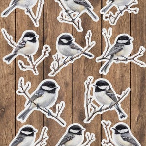 Chickadee Vinyl Die Cut Sticker Set | Funny Sticker | Laptop Sticker | Water Bottle Sticker | Notebook Sticker