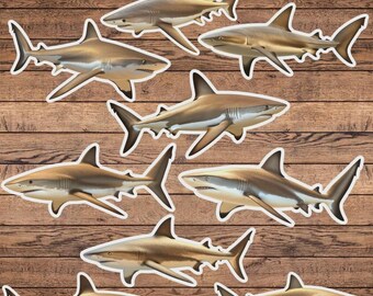 Reef Shark Vinyl Die Cut Sticker Set | Funny Sticker | Laptop Sticker | Water Bottle Sticker | Notebook Sticker