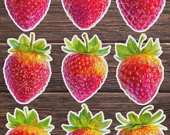 Strawberry Die Cut Vinyl Sticker Set | Funny Sticker | Laptop Sticker | Water Bottle Sticker | Notebook Sticker