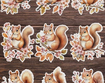 Fall Squirrel Vinyl Die Cut Sticker Set | Funny Sticker | Laptop Sticker | Water Bottle Sticker | Notebook Sticker