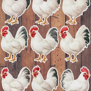 White Chicken Vinyl Die Cut Sticker Set | Funny Sticker | Laptop Sticker | Water Bottle Sticker | Notebook Sticker
