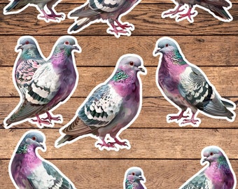 Pigeon Die Cut Sticker Set | Funny Sticker | Laptop Sticker | Water Bottle Sticker | Notebook Sticker