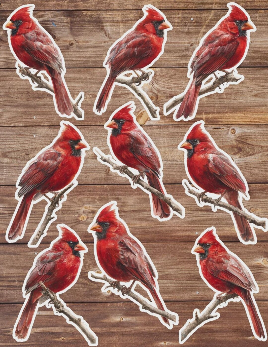 Cardinal on Perch Vinyl Die Cut Sticker Set | Funny Sticker | Laptop ...