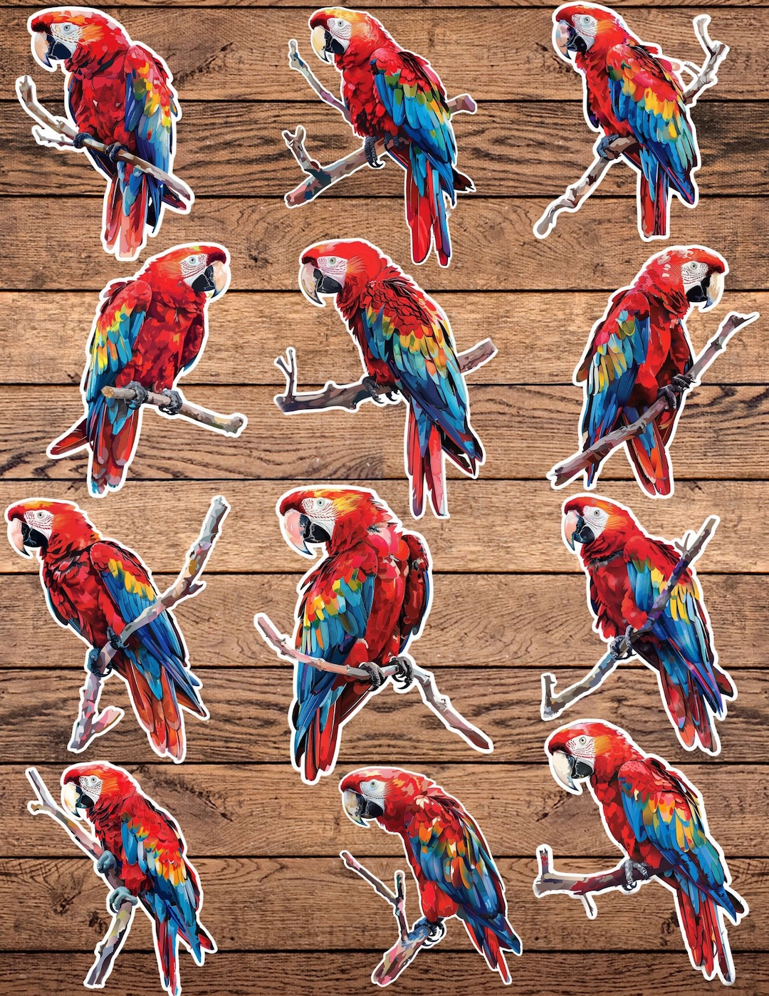 Macaw Parrot Die Cut Vinyl Sticker Set – for Notebook, Laptop, Water ...