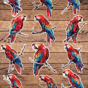 Macaw Parrot Die Cut Vinyl Sticker Set | Funny Sticker | Laptop Sticker | Water Bottle Sticker | Notebook Sticker