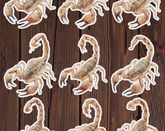 Ensemble d'autocollants en vinyle découpés à l'emporte-pièce représentant un scorpion aquarelle – Stickers colorés d'animaux du désert pour ordinateur portable, carnet et gourde