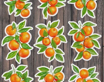 Mandarin Oranges Die Cut Vinyl Sticker Set – For Notebook, Laptop, Water Bottle & Scrapbooking
