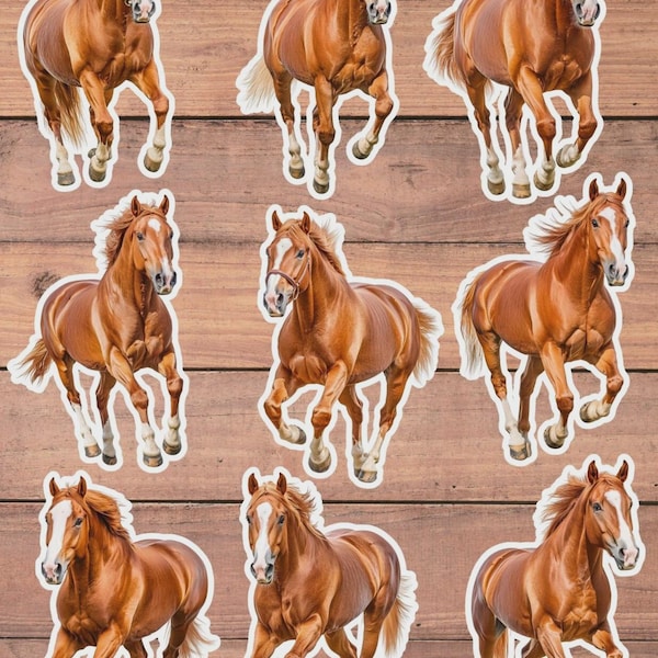 Running Horse Vinyl Die Cut Sticker Set | Funny Sticker | Laptop Sticker | Water Bottle Sticker | Notebook Sticker