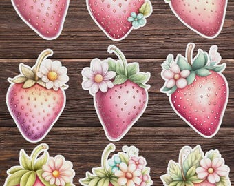 Strawberry Die Cut Vinyl Sticker Set | Funny Sticker | Laptop Sticker | Water Bottle Sticker | Notebook Sticker