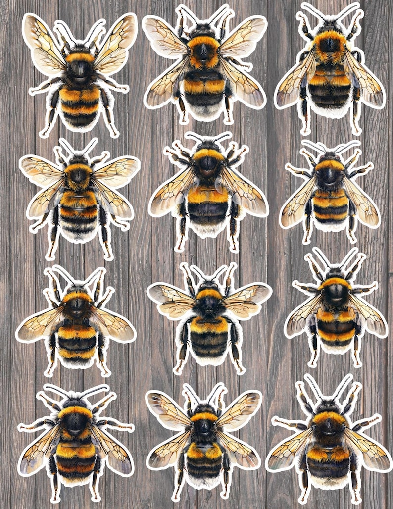 Honey Bee Die Cut Vinyl Stickers | Nature Inspired, Weather-resistant ...
