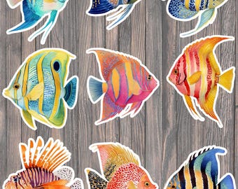 Colorful Tropical Fish Die Cut Vinyl Sticker Set – For Notebook, Laptop, Water Bottle & Scrapbooking