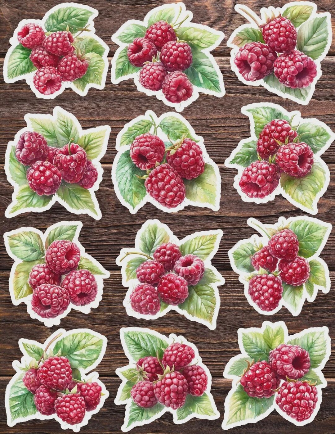 Bunches of Raspberries Die Cut Vinyl Sticker Set – for Notebook, Laptop ...