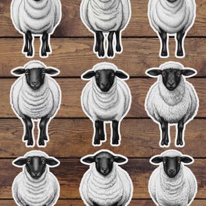 Black and White Sheep Die Cut Sticker Set | Funny Sticker | Laptop Sticker | Water Bottle Sticker | Notebook Sticker